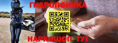 прущие грибы Лесосибирск