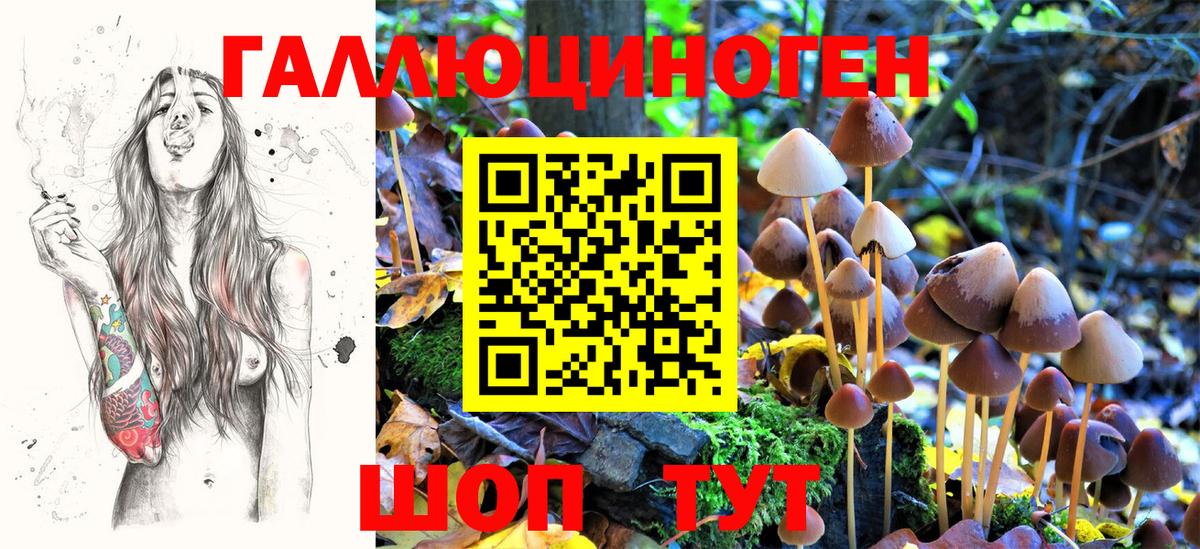 Галлюциногенные грибы прущие грибы Дивногорск