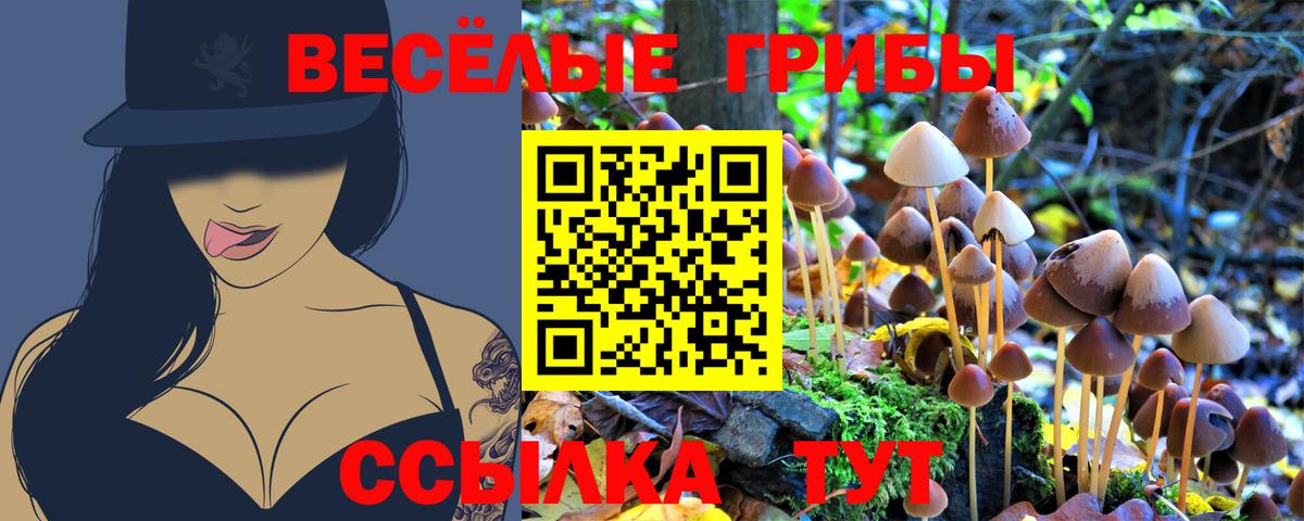 Псилоцибиновые грибы мицелий  Галлюциногенные грибы Psilocybe  Вход с VPN  Дивногорск 